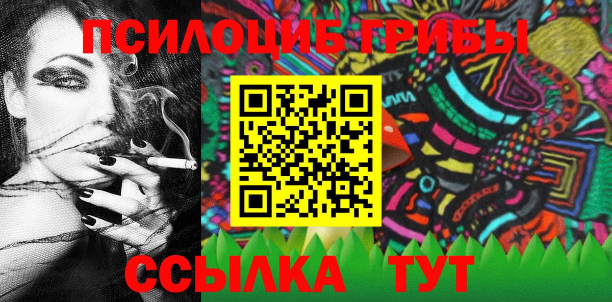 Псилоцибиновые грибы Cubensis Благовещенск